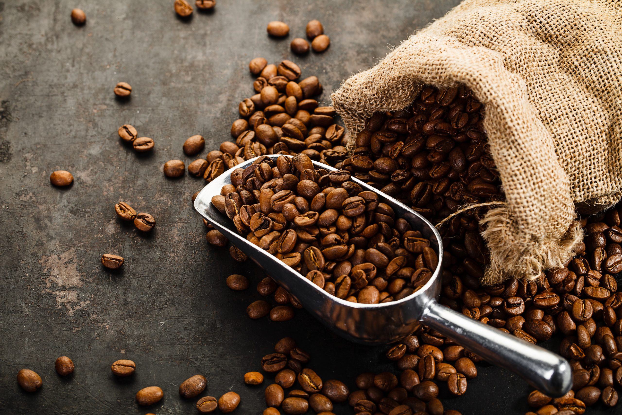 Chicchi di caffè - modello marrone con grani ideale per cucina o caffetteria