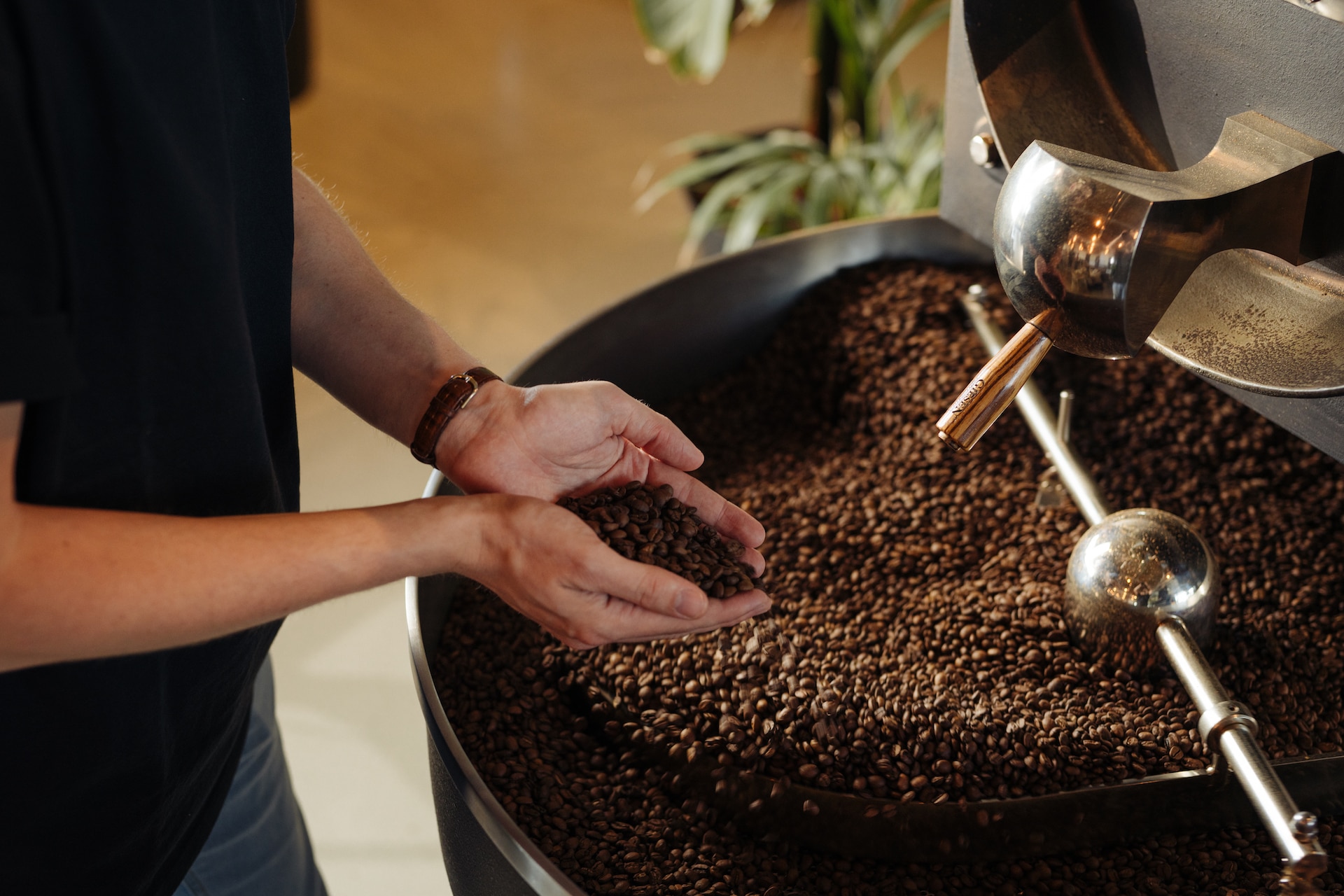 Hands touching coffee beans