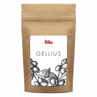miscela-gellius caffè Verrè