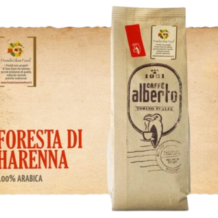 Foresta-di-Harenna-Corrado-Alberto-1