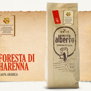 Foresta di Harenna - Corrado Alberto